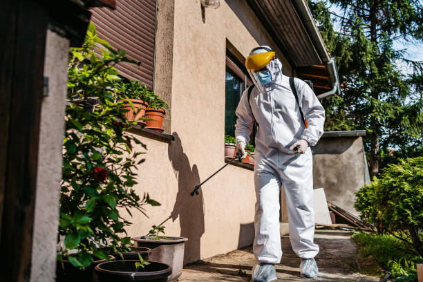 Insect Control in High Springs, FL