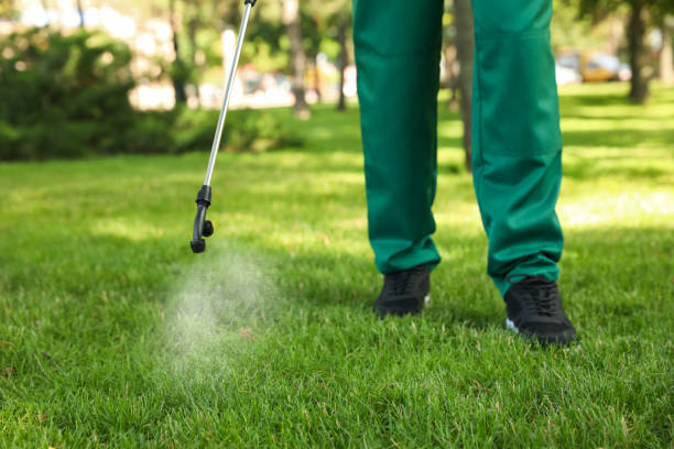 Best Affordable Pest Control Services  in High Springs, FL