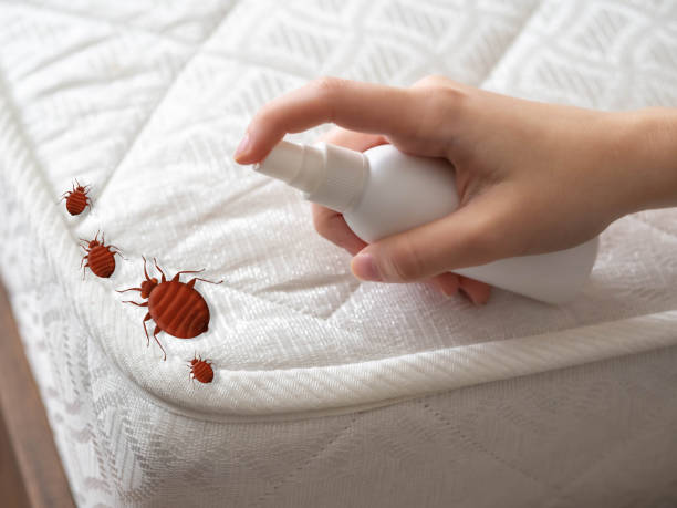 High Springs, FL Pest Control Company